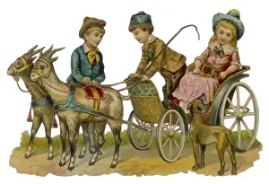 Goat-Cart - Scrap