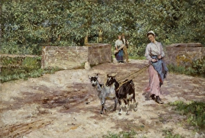 Images Dated 10th September 2010: The Goat Girl