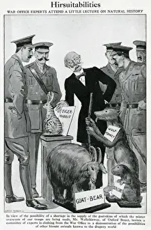 Stuffed Prints: Goatskin shortages in 1915: humourous alternatives suggested