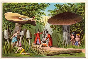 Mushroom Collection: Goblins spying on witches on a Christmas card