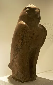 Images Dated 25th November 2003: God Horus as a falcon. 25th Dynasty