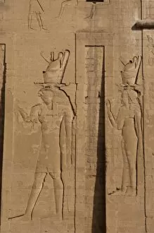 Pylon Gallery: God Horus and goddess Hathor. Edfu. Egypt