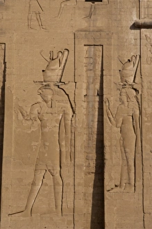 Pylon Gallery: God Horus and goddess Hathor. Edfu. Egypt