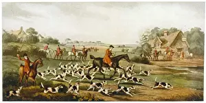 Going to Cover / Hunting
