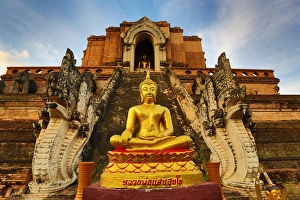 Images Dated 25th November 2012: Gold Buddha, Wat Chedi Luang temple, Chiang Mai