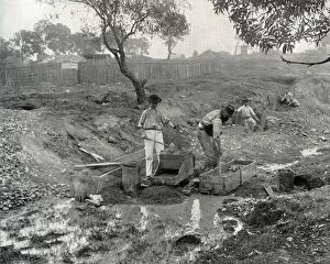 Images Dated 13th December 2016: Gold Digging in Australia