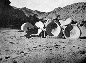 Ancient Egypt/Gold Ores