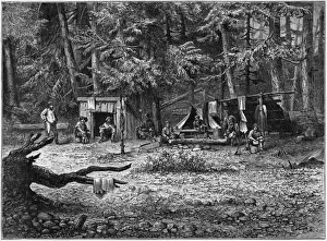 Gold mining camp in America