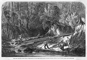 Auckland Prints: Gold in New Zealand 1853