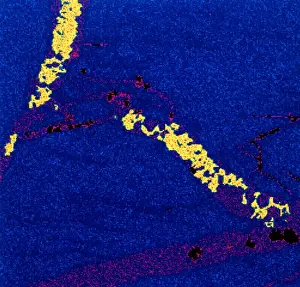Metallic Prints: Gold in unspecified mineral