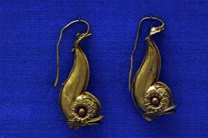 Enamel Gallery: Golden earrings with shaped like a dolphin