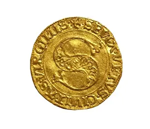 Tuscan Prints: Golden florin minted by the Republic of Siena
