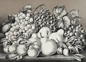 Golden fruits of California
