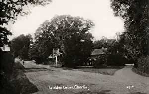 Grove Prints: The Golden Grove Inn, Chertsey, Surrey