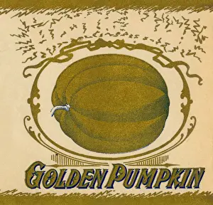 Golden Pumpkin Label