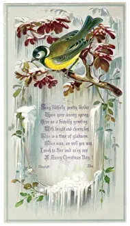 Icicles Prints: Goldfinch on a Christmas card