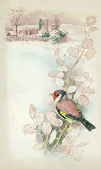 Goldfinch and church