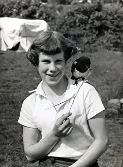 Tame Prints: Goldie Fraser with tame Magpie Sammy