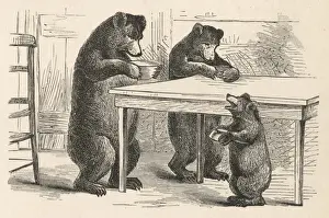 Goldilocks and the bears