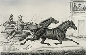 Closely Prints: Goldsmith Maid and American Girl: in the brush home of their