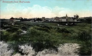 Links Prints: The Golf Links, Alnmouth, Northumberland