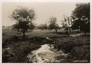 Bulawayo Prints: Golf Links, Bulawayo, Rhodesia (Zimbabwe)