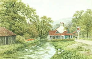 Gomshall, Surrey