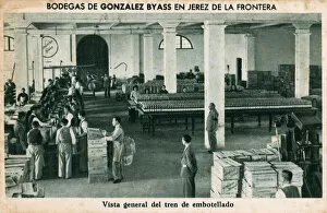 Gonzalez Byass warehouse, Jerez de la Frontera, Cadiz, Spain