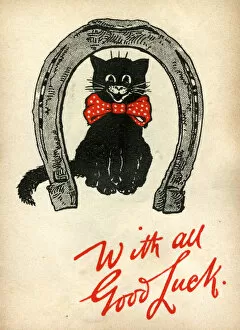 Images Dated 30th January 2017: Good Luck card, black cat in a horseshoe