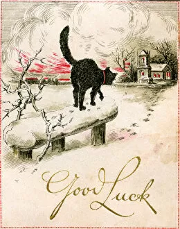 Images Dated 30th January 2017: Good Luck Christmas card, cat in the snow