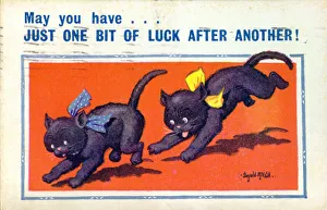 Images Dated 30th June 2020: Good Luck postcard, Two black cats