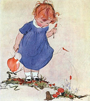 Frogs Collection: Good-Morning, Mr Frog! by Muriel Dawson