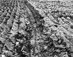 Furrows Prints: Good Ploughed Soil