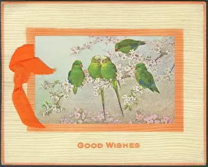 Wishes Prints: Good Wishes Greetings Card featuring five budgerigars