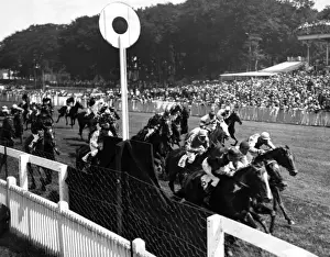 Goodwood Stewards Cup
