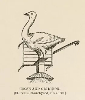 1800 Collection: Goose and Gridiron