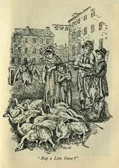 Goose seller