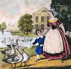 Choosing Gallery: GOOSE SERIES (2 OF 4)