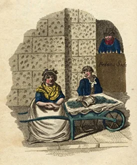 Woman & Wheelbarrow
