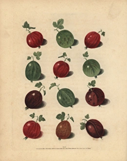 George Smith