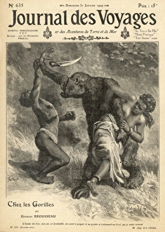 Fails Collection: Gorilla on the Attack