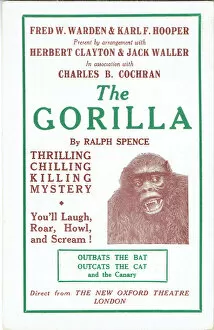 Images Dated 15th March 2017: The Gorilla by Ralph Spence