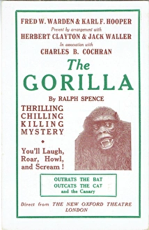 Images Dated 15th March 2017: The Gorilla by Ralph Spence