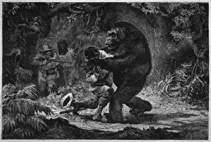 Attacked Prints: Gorilla and Victim