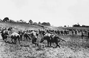 Gorlice-Tarnow Offensive 1915