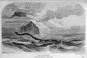 Gosse Serpent Theory