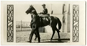 Jockeys Gallery: Gothic, Australian race horse