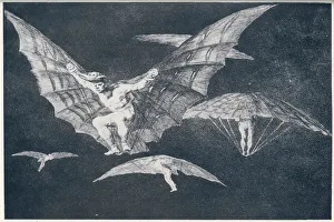 Wings Collection: Goya Birdmen