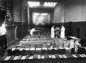 Grading Butter / Hamilton
