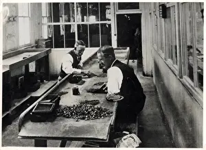 GRADING DIAMONDS